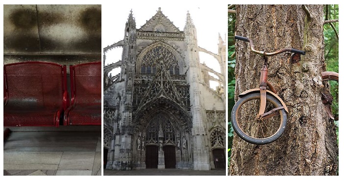 Zdroj : boredpanda.com