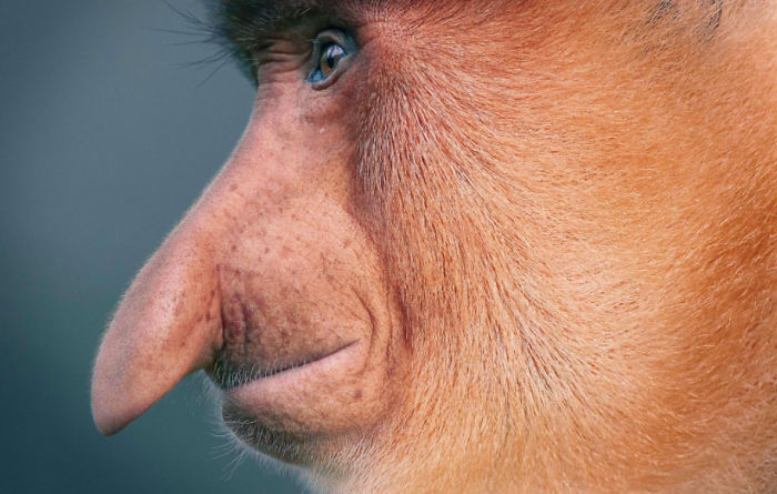 Zdroj: boredpanda.com
