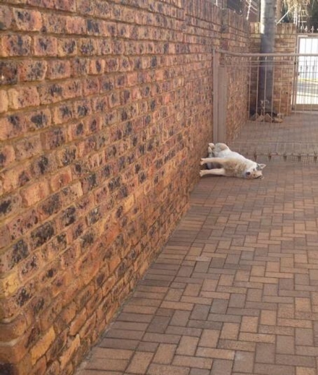 Zdroj : brightside.me