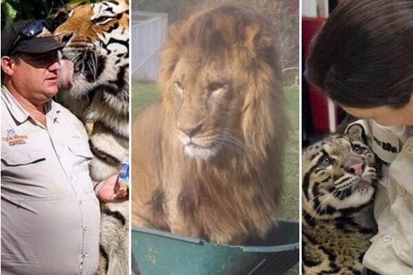 zdroj: headcramp.com