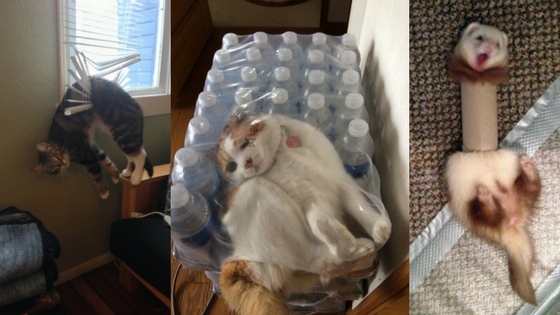 Zdroj: brightside.me