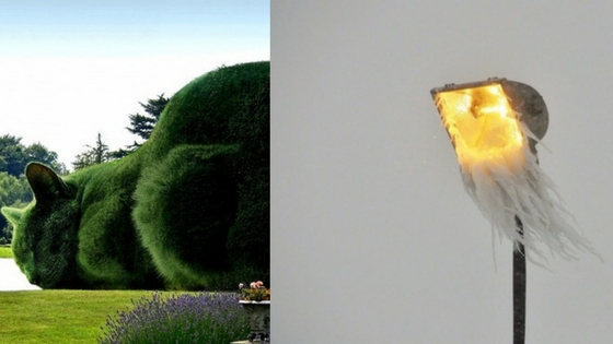 Zdroj: brightside.me