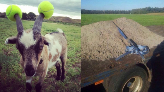 Zdroj: brightside.me