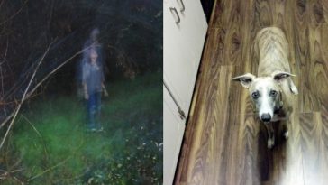 Zdroj: brightside.me