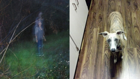 Zdroj: brightside.me