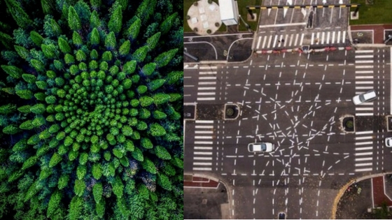 Zdroj: brightside.me