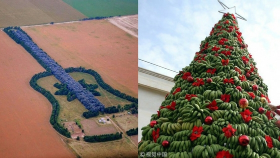 Zdroj: brightside.me