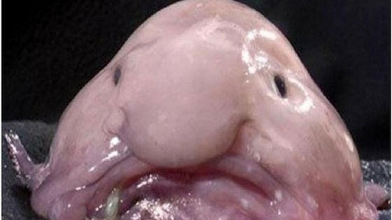 Zdroj: wonderslist.com