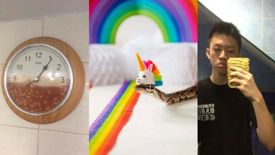 Zdroj: boredpanda.com