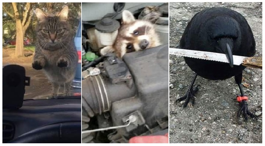 Zdroj : brightside.me