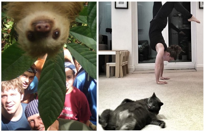 Zdroj : brightside.me