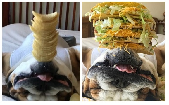 Zdroj : lifebuzz.com