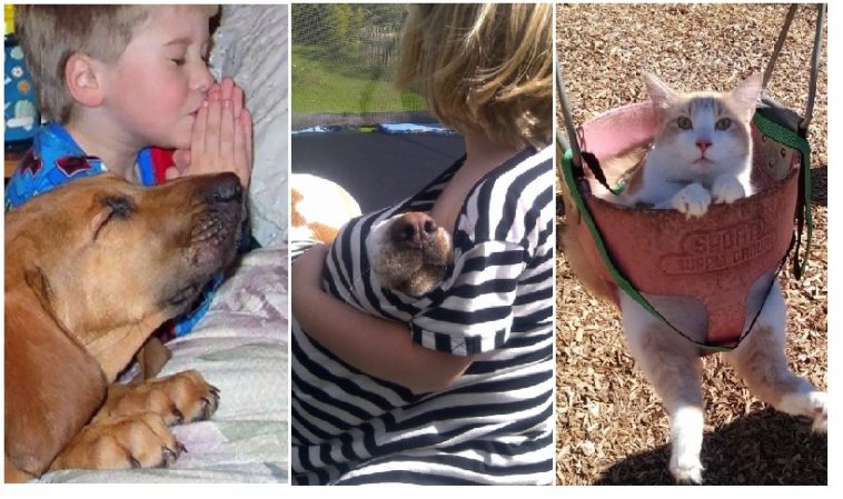 Zdroj : brightside.me