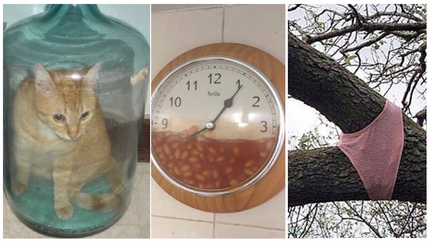 Zdroj : brightside.me