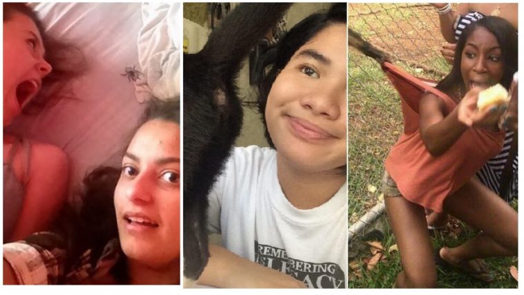 Zdroj : brightside.me