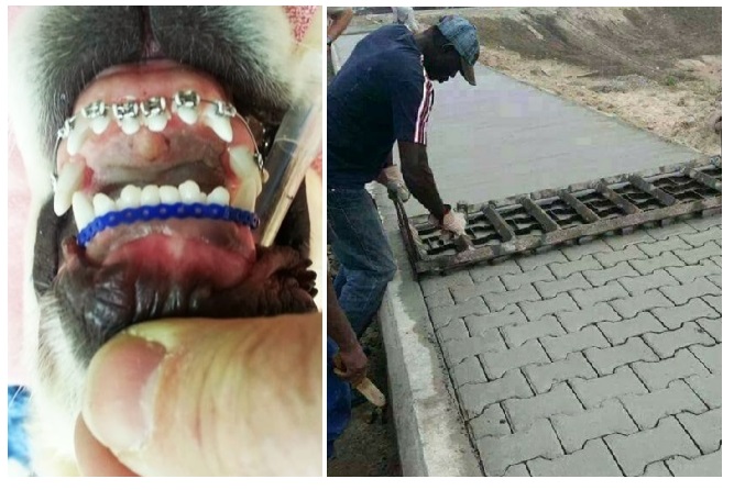 Zdroj : brightside.me