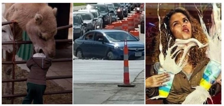 Zdroj : brightside.me