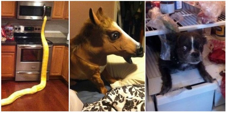 Zdroj : brightside.me