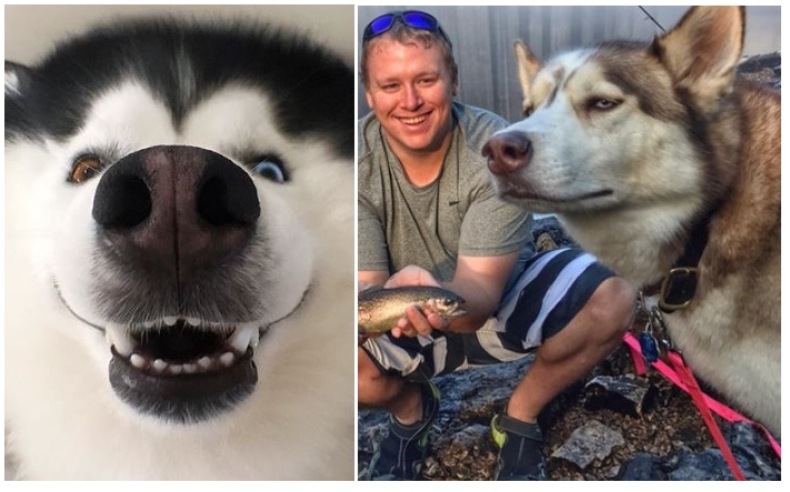 Zdroj : brightside.me