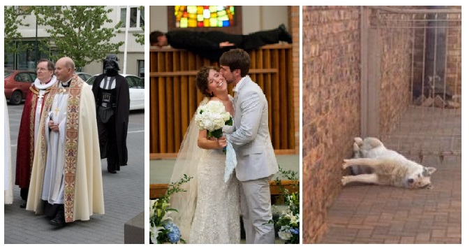 Zdroj : brightside.me