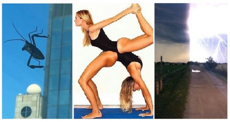 Zdroj : brightside.me