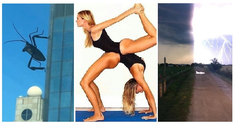 Zdroj : brightside.me