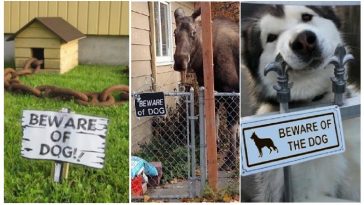 Zdroj : brightside.me