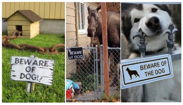 Zdroj : brightside.me