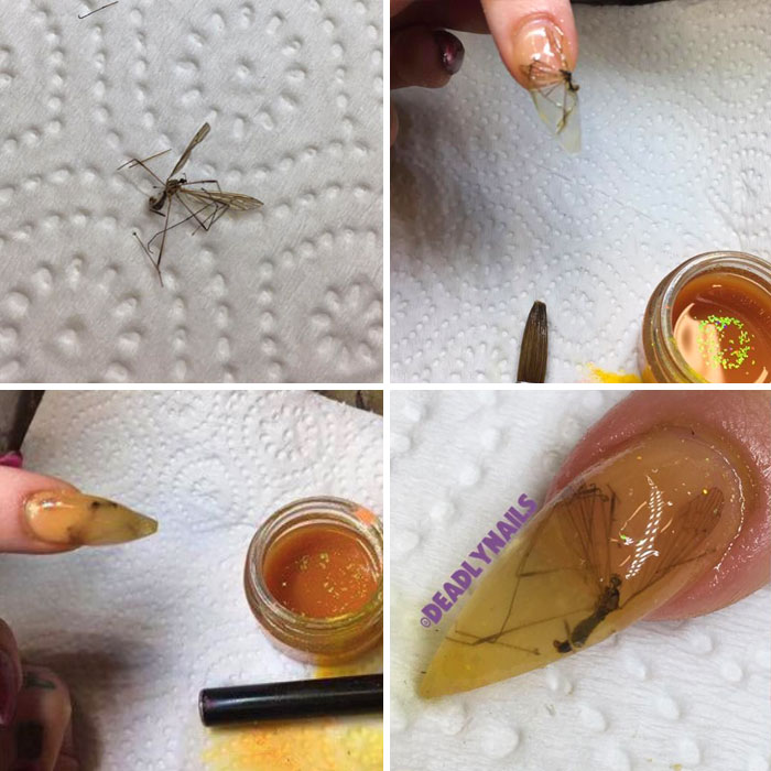 Zdroj : boredpanda.com