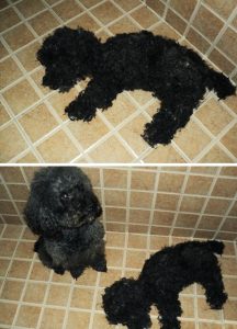 Zdroj: brightside.me