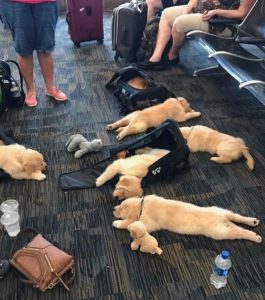 Zdroj: brightside.me