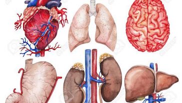 zdroj: previews.123rf.com