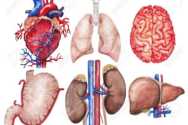 zdroj: previews.123rf.com