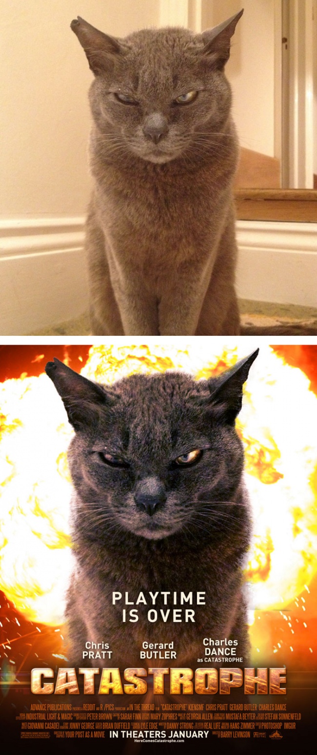 Zdroj : brightside.me