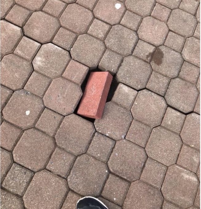 Zdroj : brightside.me