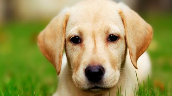 Zdroj: wonderslist.com