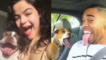 Zdroj: boredpanda.com