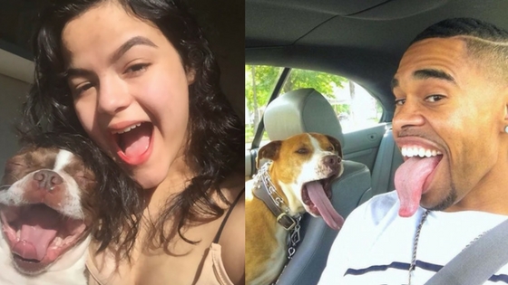 Zdroj: boredpanda.com