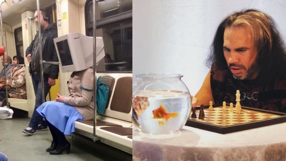 Zdroj: brightside.me