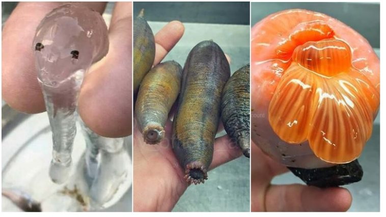 Zdroj : brightside.me