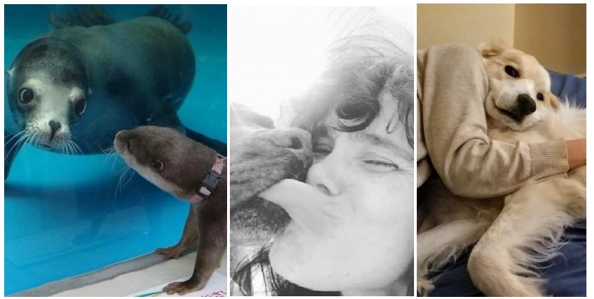 Zdroj : brightside.me