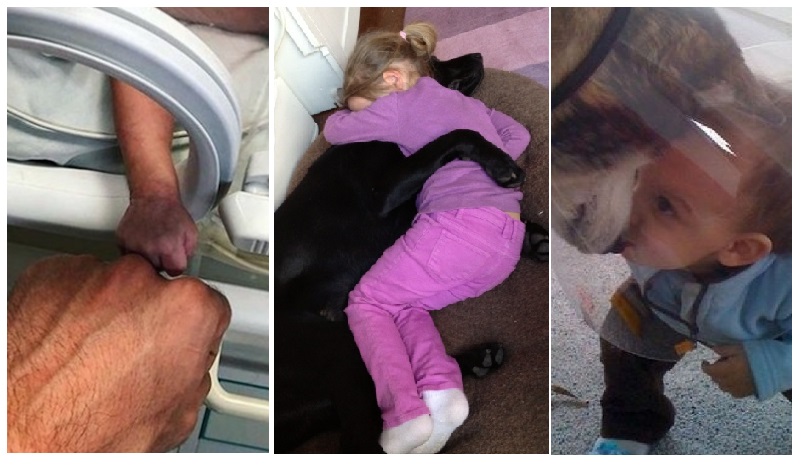 Zdroj : brightside.me