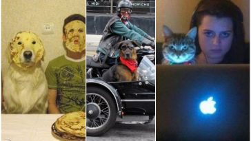 Zdroj : brightside.me