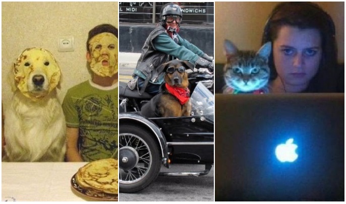 Zdroj : brightside.me