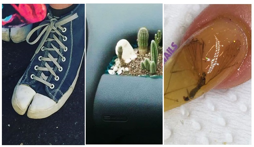 Zdroj : boredpanda.com