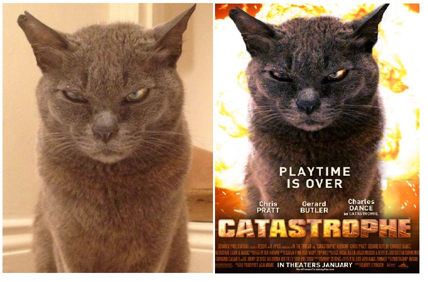 Zdroj : brightside.me