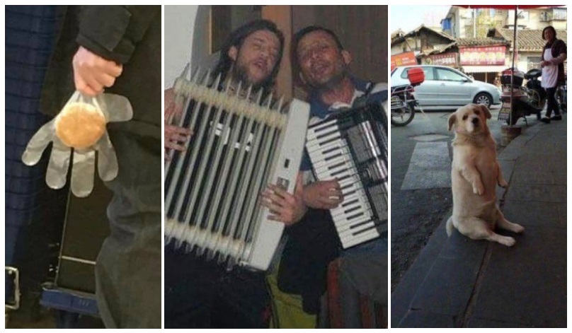 Zdroj : brightside.me