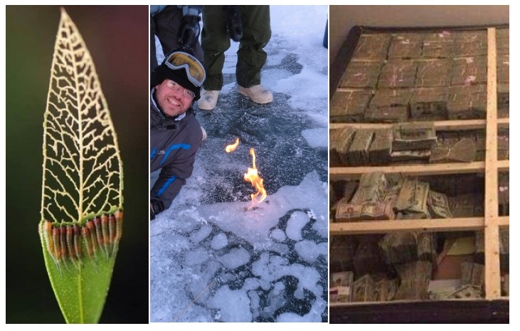 Zdroj : brightside.me