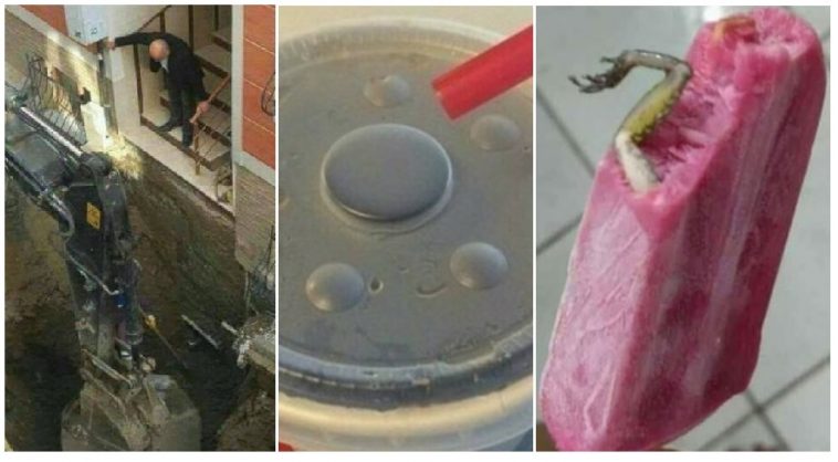 Zdroj : brightside.me