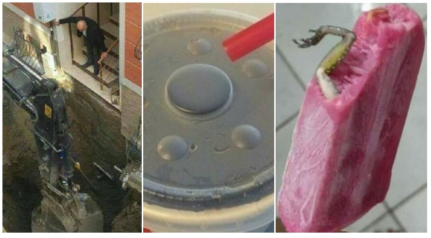 Zdroj : brightside.me